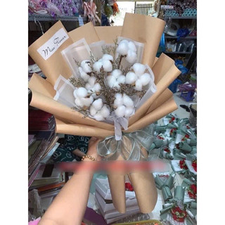 Bó hoa bông gòn hàn quốc
