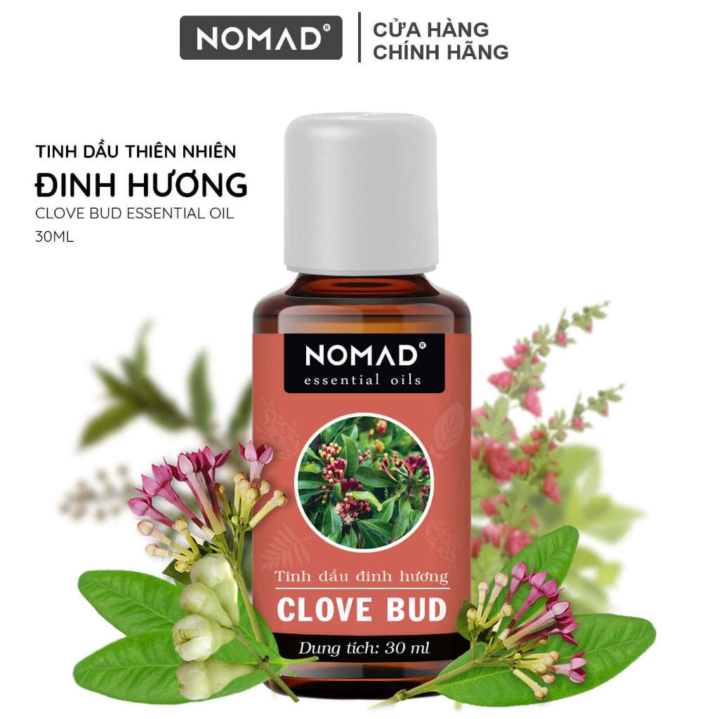 Tinh Dầu Đinh Hương Nomad Essential Oil - Clove Bud