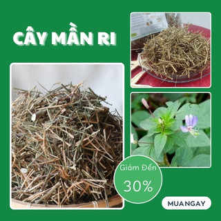 [Hàng Công Ty] Cây Mần Ri Sấy Khô (Thơm, Sạch)