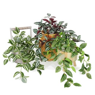 Dây lá giả, cây rủ lá nhựa giả, cây thài lài, trầu bà trang trí nhà cửa, decor phòng, studio, quán cà phê, spa, homestay
