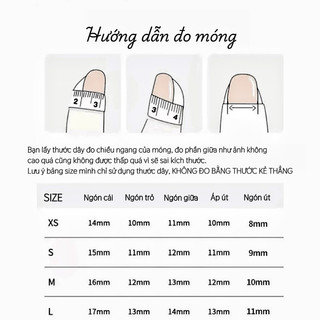 Nailbox mắt mèo đính đá