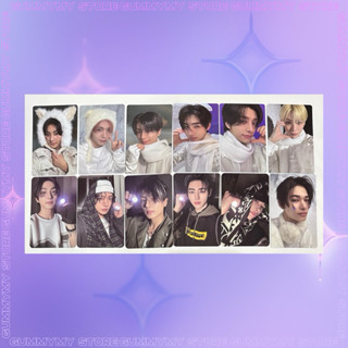 ENHYPEN - photocard DAYDREAM chính hãng, thẻ ảnh card bo góc frame khung hình