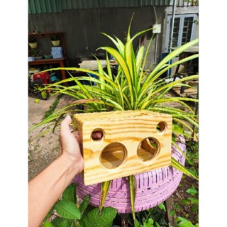 Vỏ box loa gỗ DIY cho 2 cụm mỏng, loa 2.0