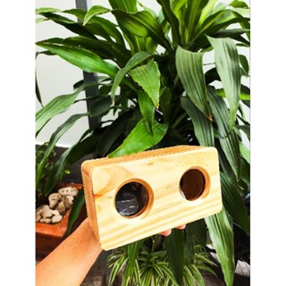 Vỏ box loa DIY gỗ thông gắn vừa 2 loa toàn dải 2 inch