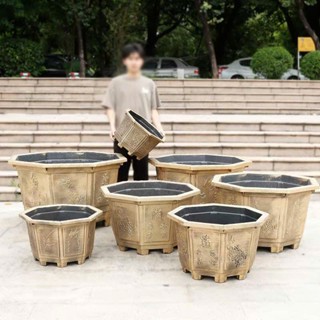 Chậu lục giác giả đồng, Chậu trồng sen, nuôi cá hình lục giác, Cao cấp siêu bền màu, trồng cây trang trí sân vườn