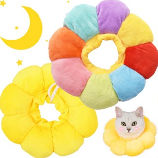 Vòng cổ chống liếm cho chó mèo bằng bông hình bông hoa đáng yêu, loa chống liếm cho thú cưng