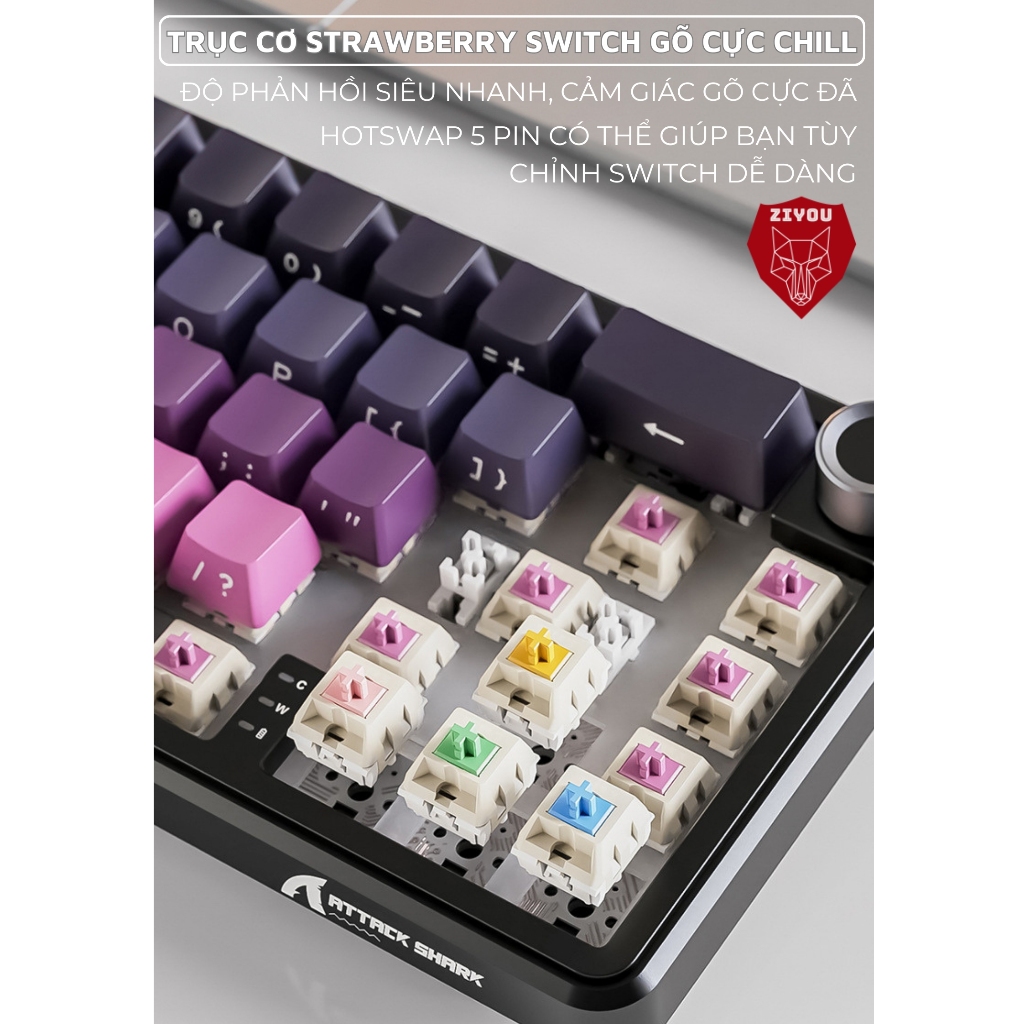 Bàn Phím Không Dây Ziyou Attack Shark X66 Led RGB Hotswap 5 Pin 3 Mode Kết Nối App Tùy Chỉnh | BigBuy360 - bigbuy360.vn