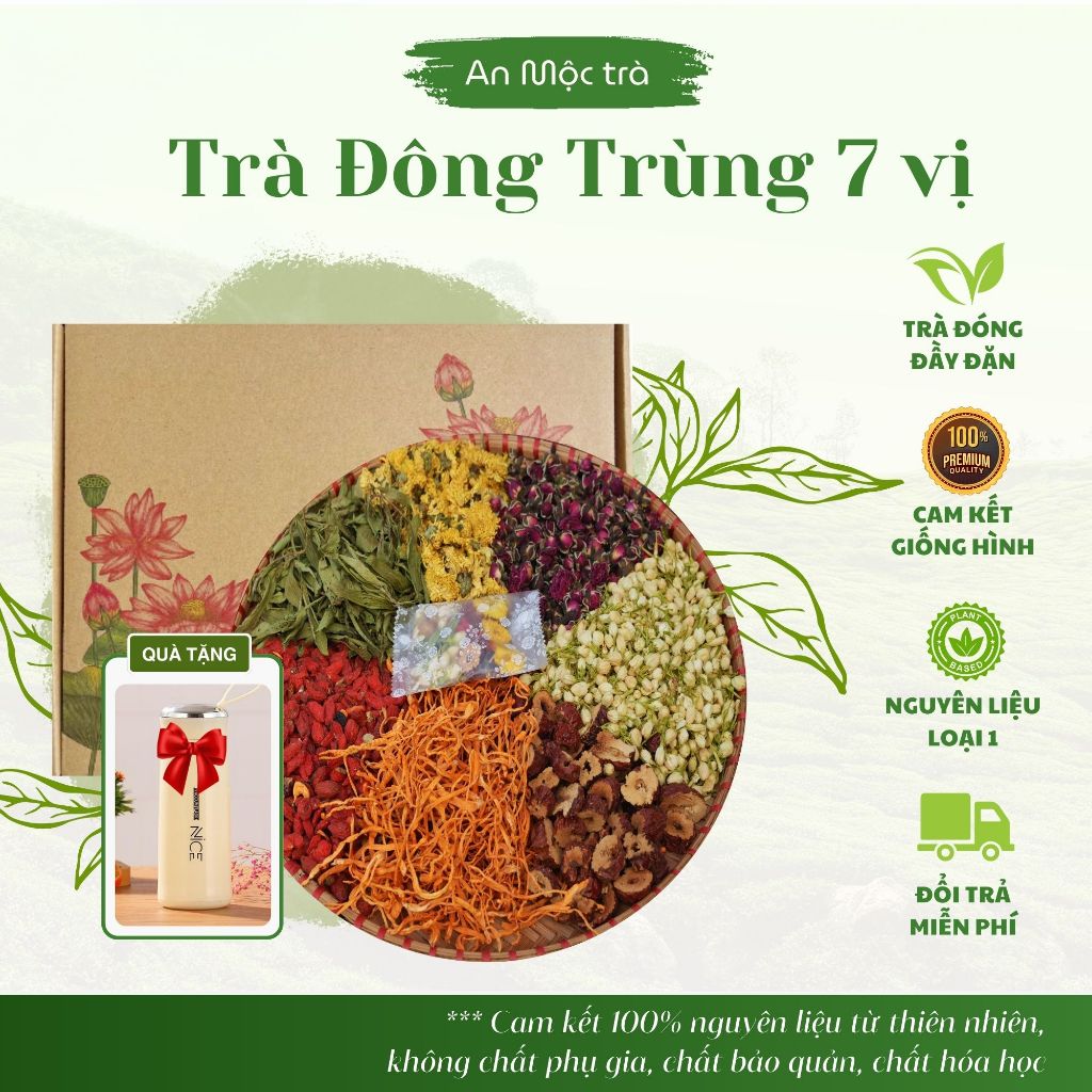 Trà đông trùng hạ thảo 7 vị giúp đẹp da ngủ ngon bồi bổ sức khỏe An Mộc Trà