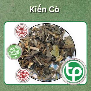 [Hàng Công Ty] Cây Kiến Cò Khô 1kg - Hỗ trợ thanh nhiệt và giải độc