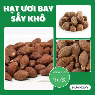 [Hàng Công Ty] Hạt ươi bay (Đều, Đẹp), Hạt đười ươi, Hạt lười ươi