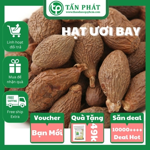 [Hàng Công Ty] Hạt ươi bay (Đều, Đẹp), Hạt đười ươi, Hạt lười ươi