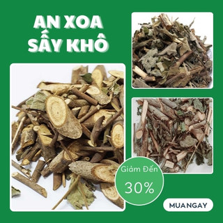 [Hàng Công Ty] Thân lá an xoa sấy khô - Hỗ trợ thanh nhiệt và giải độc