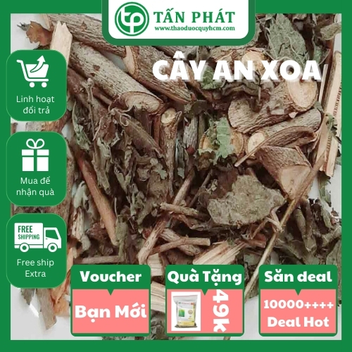 [Hàng Công Ty] Thân lá an xoa sấy khô - Hỗ trợ thanh nhiệt và giải độc