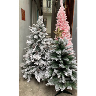 Cây thông Noel đẹp cao cấp - Cây thông phủ tuyết , 3 lá gắn trái thông cỡ cao 90cm 120cm 150cm