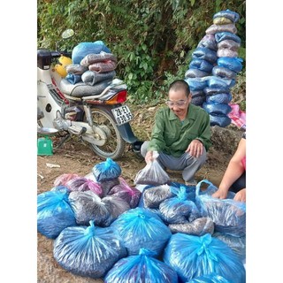 HẠT DỔI NẾP CHUẨN RỪNG 10 HẠT TO