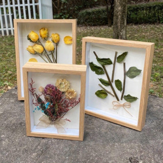 Khung Hộp 3D (A4, 21x30cm) Sâu 1.5cm - Khung Tiêu Bản Trưng Bày Đồ Vật Trang Trí Treo Tường