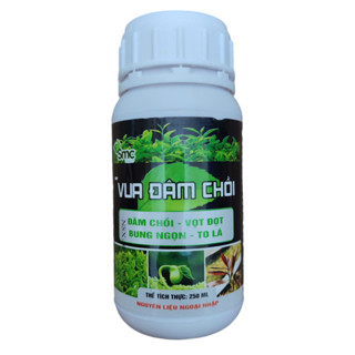 Phân bón cây cảnh vua đâm chồi, siêu vọt đọt 250ml pha 100 lít nước, dùng cho cây hoa mai vàng, hoa hồng...