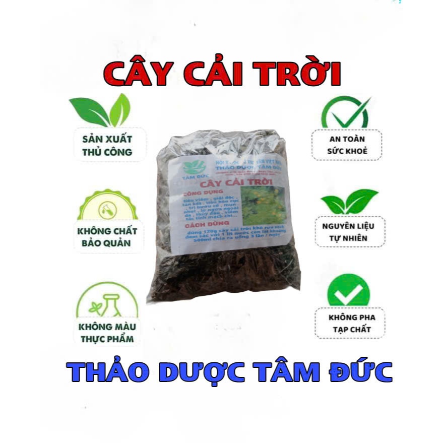 1kg Cây Cải Trời Sấy Khô hữu cơ