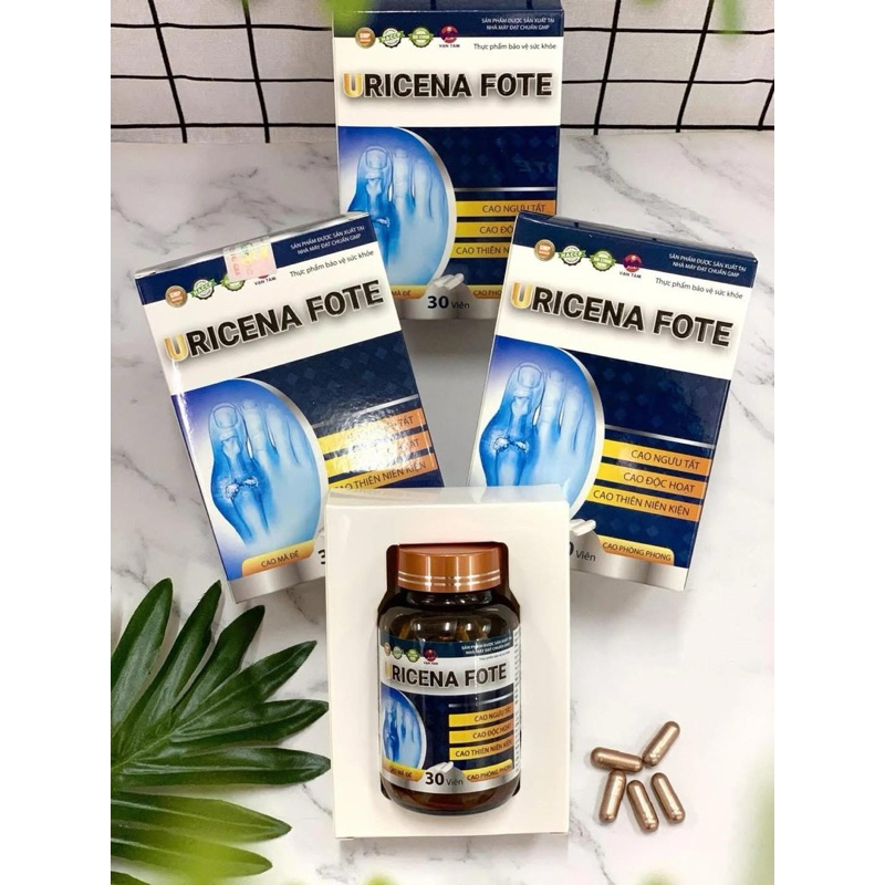 Viên uống Gout URICENA FOTE