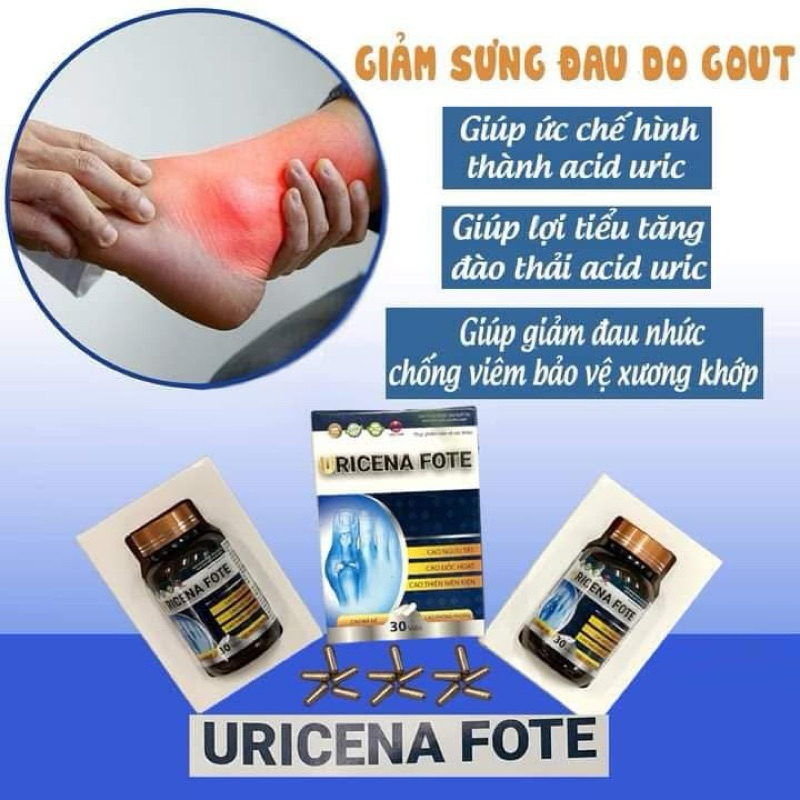 Viên uống Gout URICENA FOTE