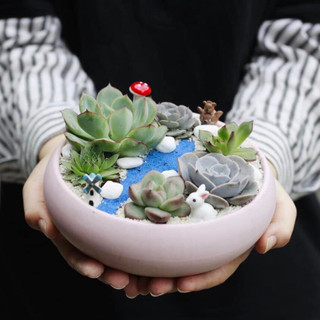 Tiểu Cảnh Trang Trí Chậu Cây
