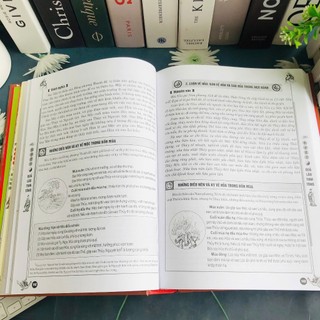 Sách Quả Lão Tinh Tông ( Quyển Hạ )