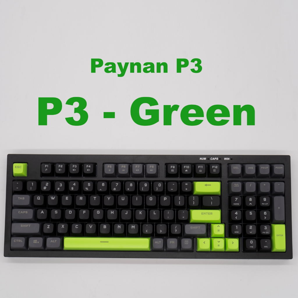 Bàn phím văn phòng Paynan silent chống ồn 98 phím led nền đơn sắc - rainbow keycap mix nhiều màu sắc | BigBuy360 - bigbuy360.vn
