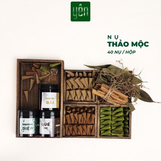 Nhang Nụ Thảo Mộc Mix Quế Khuynh Diệp Hương Bài Sạch Ít Khói Hộp 40 Nụ Yên Tự Nhiên Không Hóa Chất