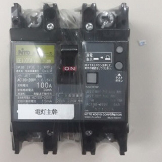 Cb chống giật 100A 2pha nhật