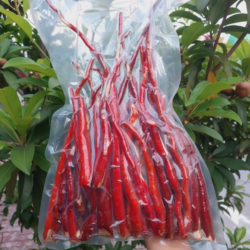 sâm cau đỏ rừng Tây Bắc rửa sạch hút chân không đóng túi 1kg