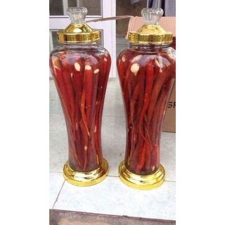 sâm cau đỏ rừng Tây Bắc rửa sạch hút chân không đóng túi 1kg