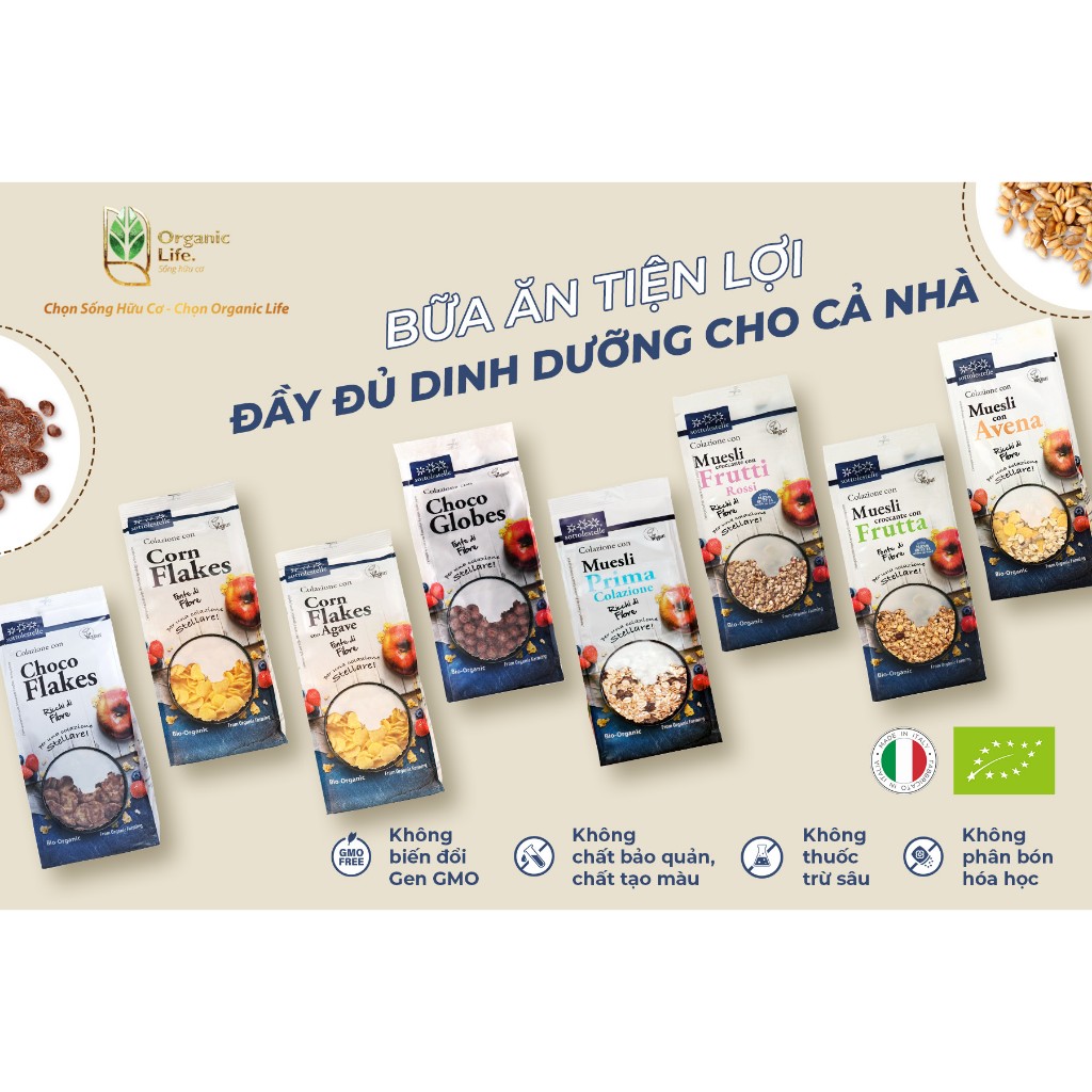 Ngũ Cốc Giòn Muesli mix Berry hữu cơ (Organic Crunchy Muesli Mix Berries) - Sottolestelle - 350g