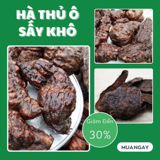 [Hàng Công Ty] Hà thủ ô đỏ đã sơ chế