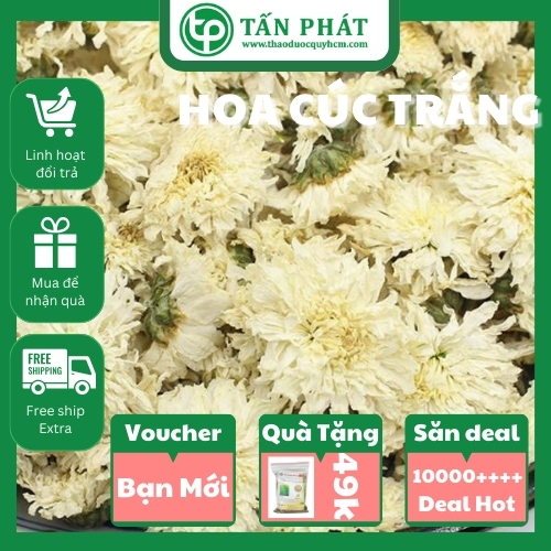 [Hàng Công Ty] Hoa cúc trắng sấy khô