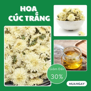 [Hàng Công Ty] Hoa cúc trắng sấy khô