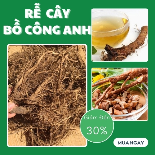 [Hàng Công Ty] Rễ bồ công anh khô 200g