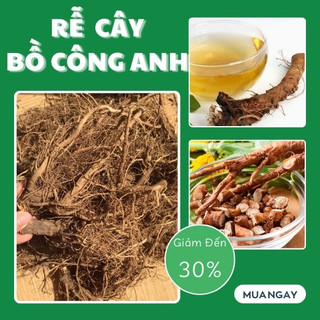 [Hàng công ty] Rễ cây bồ công anh sấy khô - Hỗ trợ cải thiện sức khoẻ - Sản phẩm giá tốt