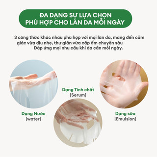 (Gift) 4 Mặt Nạ THE FACE SHOP Real Nature Green Tea Face Mask 20g (Gz)