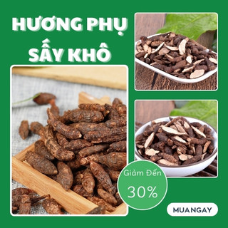 [Hàng Công Ty] - Hương phụ, Cỏ gấu, Cỏ cú - tấn phát - Chuyên dùng để sắc nước pha trà hỗ trợ tốt cho dạ dày