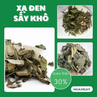 [Trà thảo mộc] Lá Xạ Đen Sấy Khô - Hàng Công Ty Chất Lượng Cao - Hỗ Trợ Thanh Nhiệt Và Giải Độc - Túi Lớn 500gram