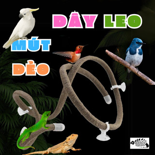 DÂY LEO TRANG TRÍ CHUỒNG BÒ SÁT, THÚ CƯNG, CHÓ, MÈO, TẮC KÈ HOA, CHIM, VẸT, TẠO CẢNH QUAN THIÊN NHÊN