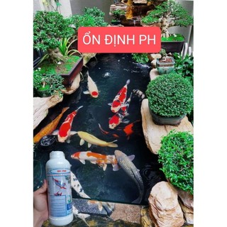 Men Vi Sinh Bio fish ( 1000ml ) cho các loại cá cảnh, koi, thủy sinh ....
