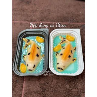 Hộp Đựng Nhựa Đế Đen Ht17 (Set 10 Hộp) Đựng Rau Cau Cá Chép Bánh Cá Chép - Khuôn Cá Chép 18cm