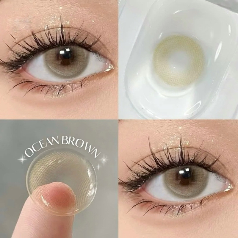 lens Ocean brown full cận 0-6 độ