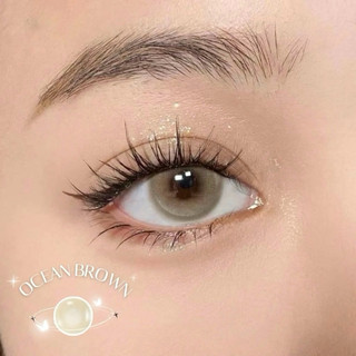 lens Ocean brown full cận 0-6 độ