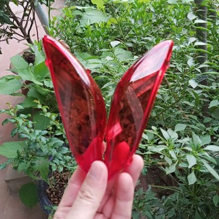 Nắp xi nhan trước sau wave A