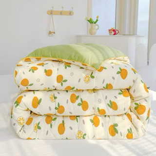  Chăn phao Cotton Đũi Hàn Quốc Sơ Đậu Nành Mềm Mịn - ấm áp dành cho mùa đông kt 2mx2m3_ntbbedding 