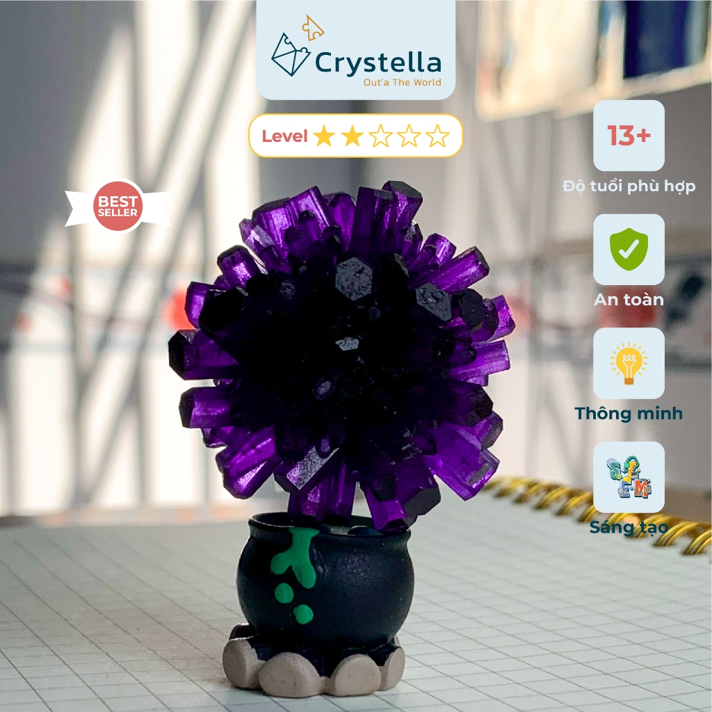 Bộ Kit Điều Chế Nuôi Tinh Thể Bông Cầu NaMg Crystella – Trải Nghiệm Thí nghiệm Khoa Học STEM Tại Nhà Độc Đáo