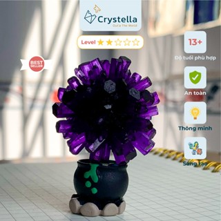 Bộ Đồ chơi Thí nghiệm khoa học nuôi trồng pha lê thạch anh NaMg đầy đủ hướng dẫn - STEM Crystal Growing KIT 13+