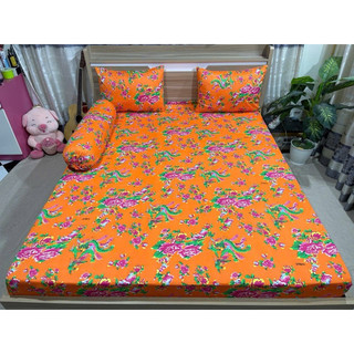 Ga thun Hàn quốc( 9 mẫu)